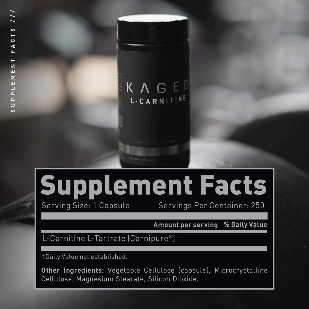KAGED L-Carnitine Capsules