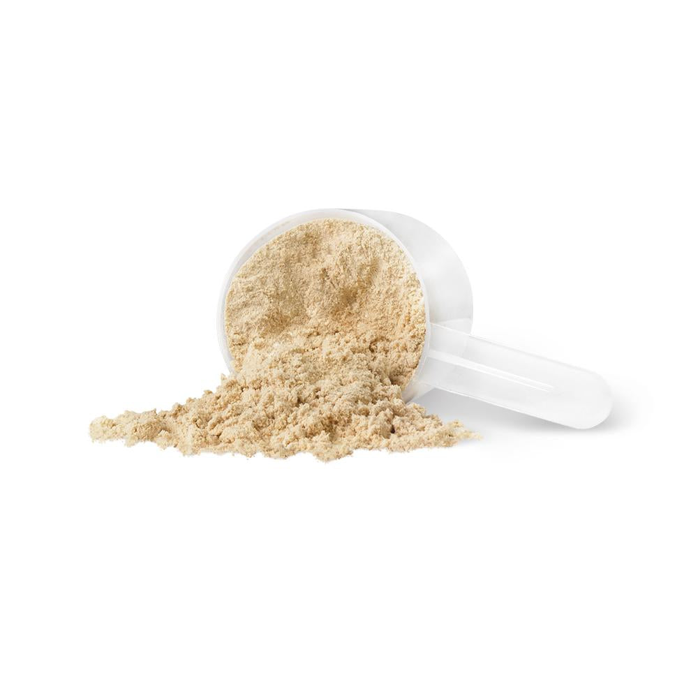PV3411 Harmonized Fermented Vegan Protein Vanilla Powder