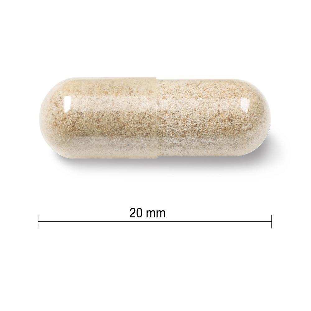 9048_Gentle Iron 28 mg_Pill